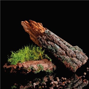 AIRES PLUS LEGNO DI CEDRO 750 ml - Odświeżacz powietrza o zapachu drewna cedrowego - zdjęcie 4