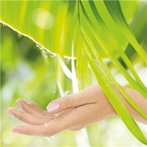 OXALIS ALOE SOAP 5000 ml - Mydło w płynie - Aloes - zdjęcie 4