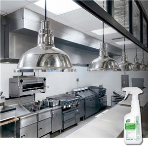 VERDE ECO SGRASSATORE ATTIVO 750 ml - Odtłuszczacz do kuchni  - zdjęcie 3